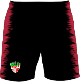 https://files.zapkam.com/media/somkwuuh/bredon-afc-home-shorts-1.jpg